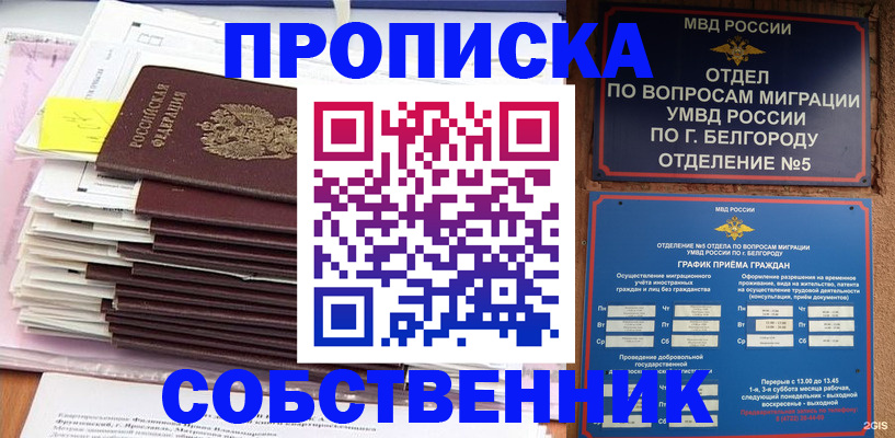 прописка законно в Сольцах